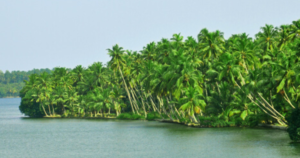 Best places to Visit in Kollam - Ashtamudi