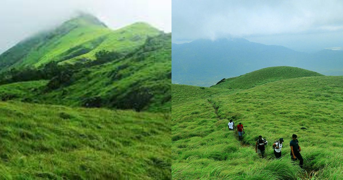 Best places to visit in Wayanad